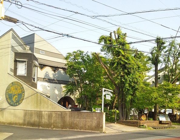 Img_c6541bafb12197e61285cea101c09f60