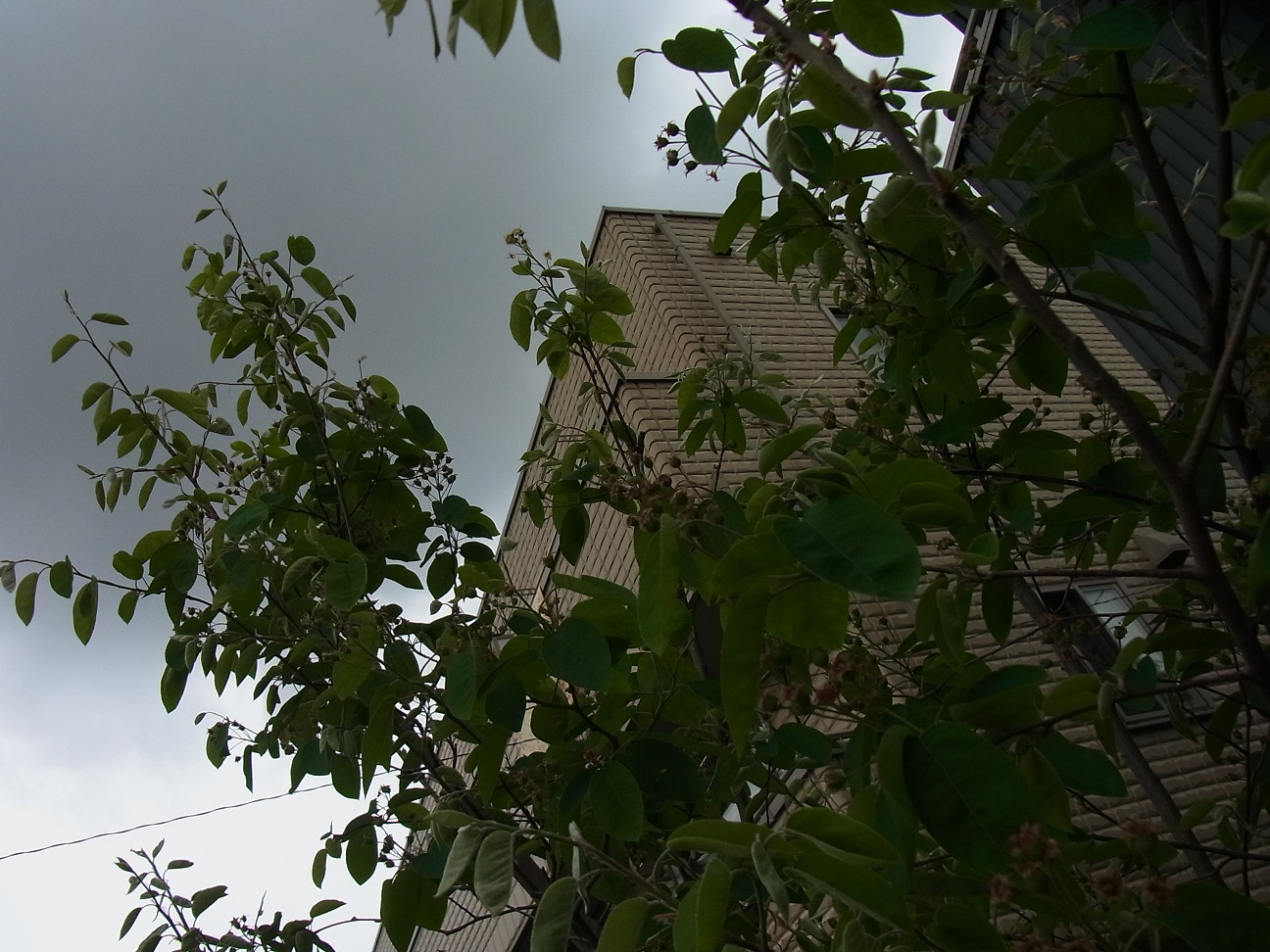 Img_c7d499ff64e734c626bc81da325f3b8707d50713