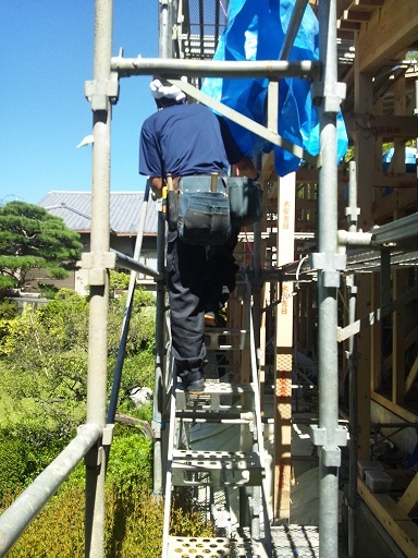 Img_c81408dbbd474a18e5dd278c7a447b52