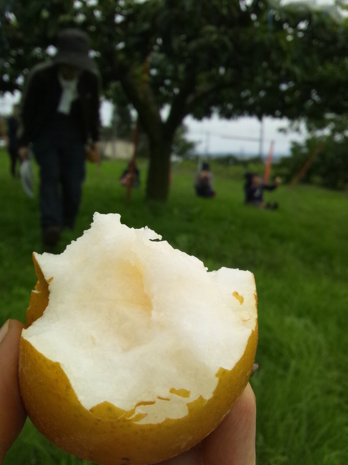 Img_cd9e0f2b6d0c60c62b73d0c9ca4b980e