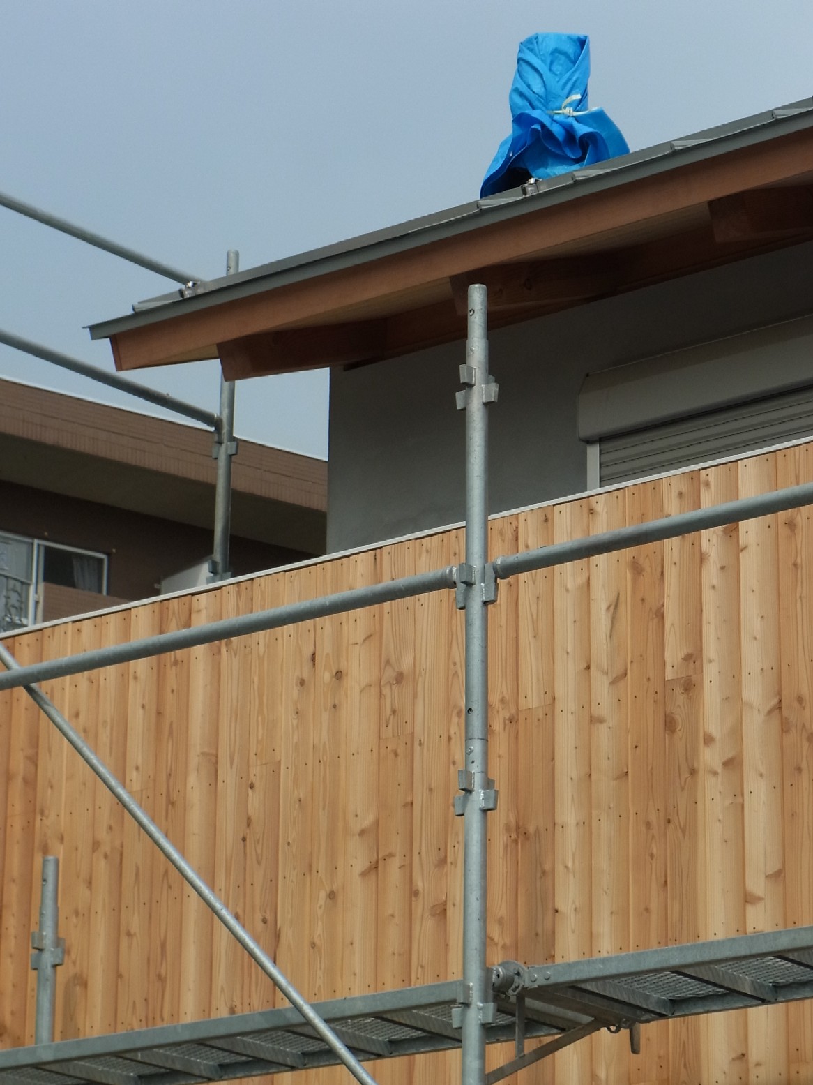 Img_d53b27b3a47b249c1ae2f6e13c90f48ca4382612