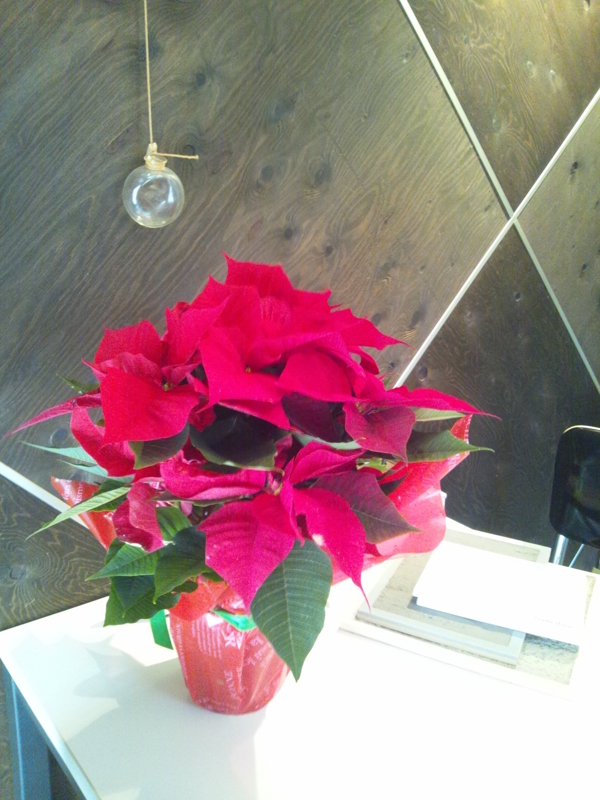 Img_d7251ff3cfdb10ceb0b446660fb0e0bf