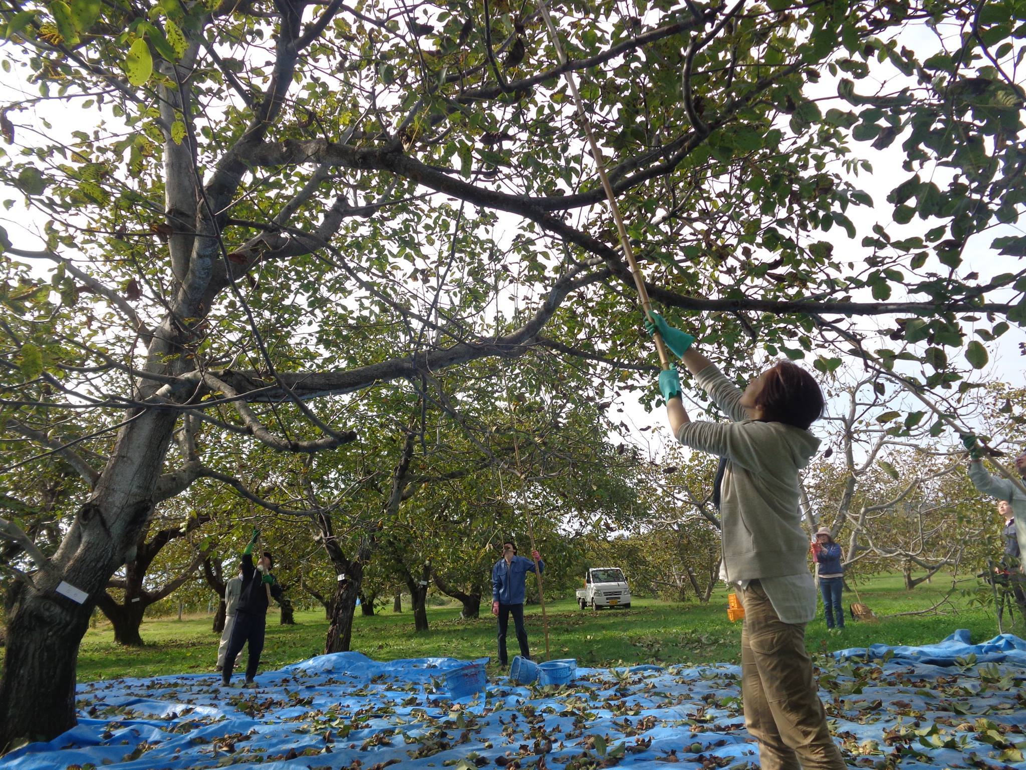 Img_d7808a5c6681c020bf5a858fc7d7678a