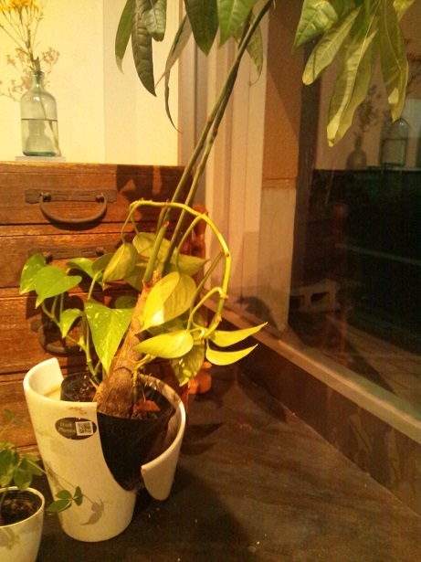 Img_d84088cd6920f1e33eea4ac1008197d6