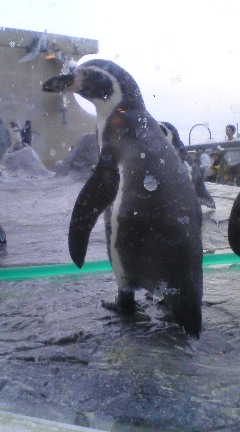 Img_deee77873f099e8f9b609fc44e07683de67ec849