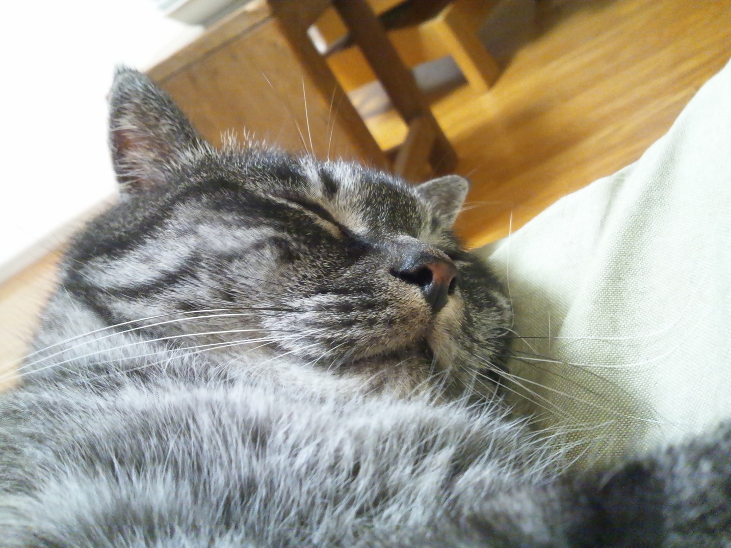 Img_df342c3ebc0f943b5ca78660045e658e63a76ff1