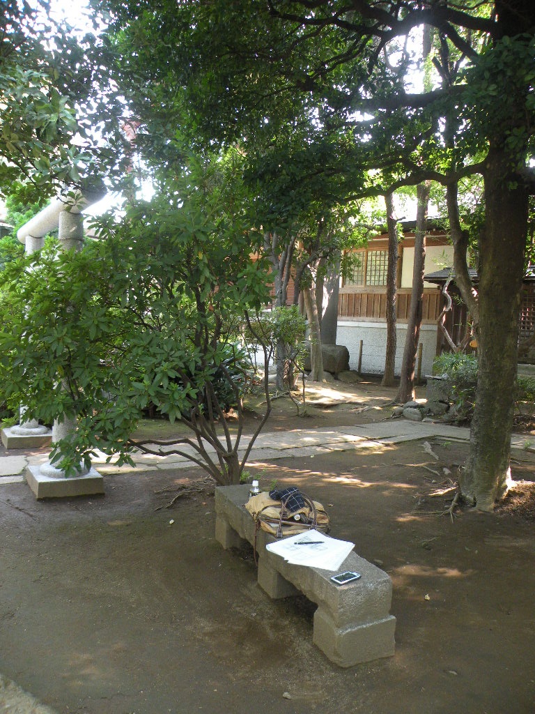 Img_df9e6f2f76becb4fa21303ea6a7fefe48a71f17c