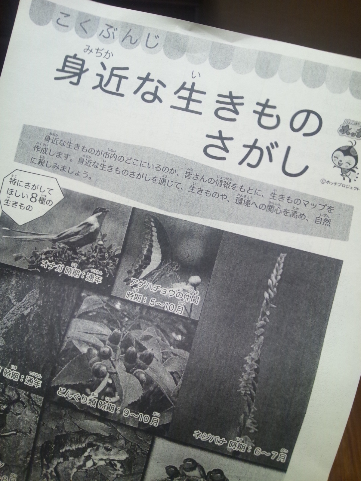 Img_e17b6d7e55283eea3333399083239102