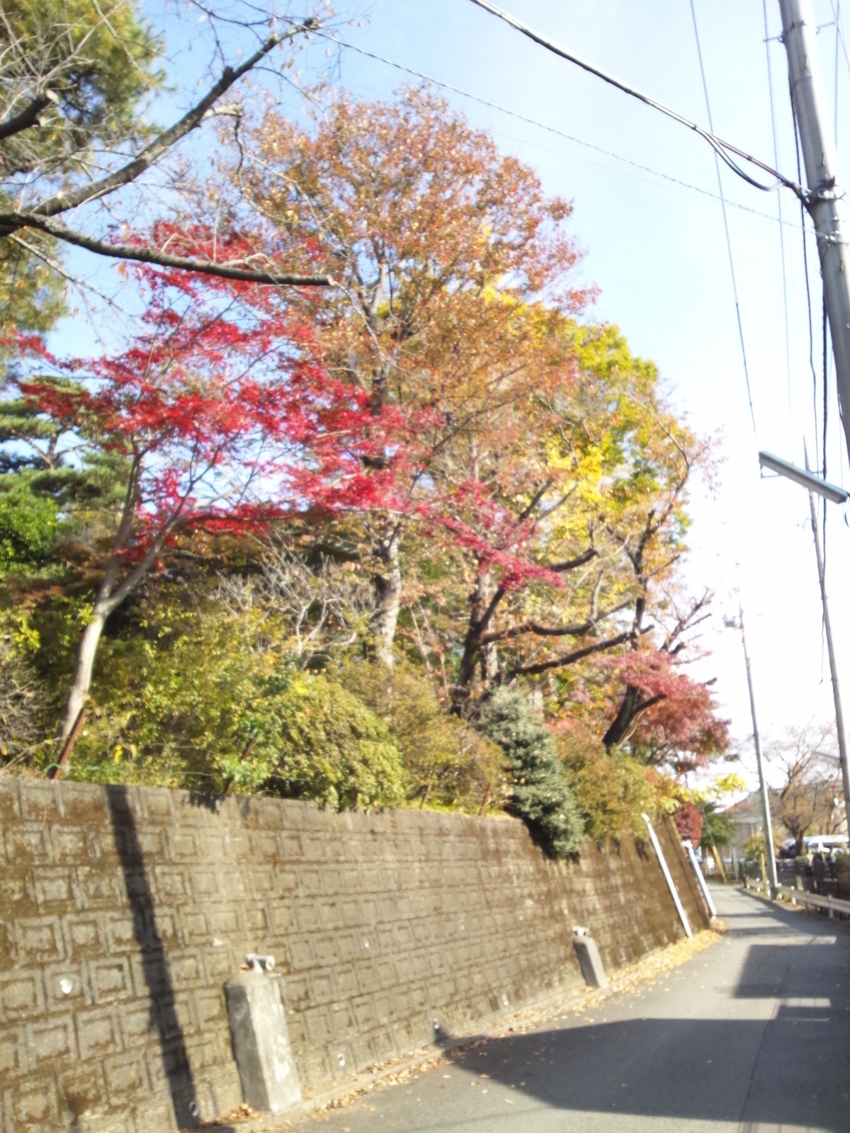 Img_e1cc796824efb4ac6b02bbaadeaeb848