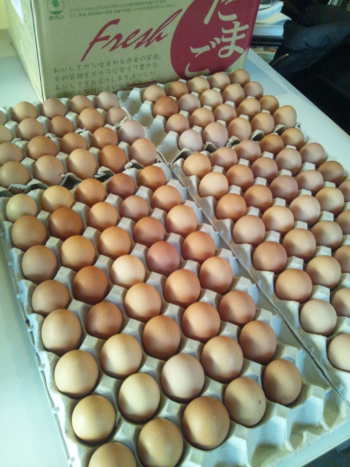 Img_e5022da58443ea2c85601653918e0e60