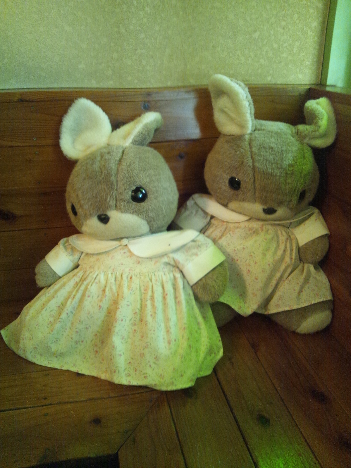 Img_e5593ae152965a3a73e1f6e63faae663