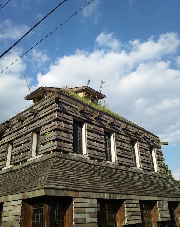 Img_ec48ad93350f149c1cbba2c2b18baf3d