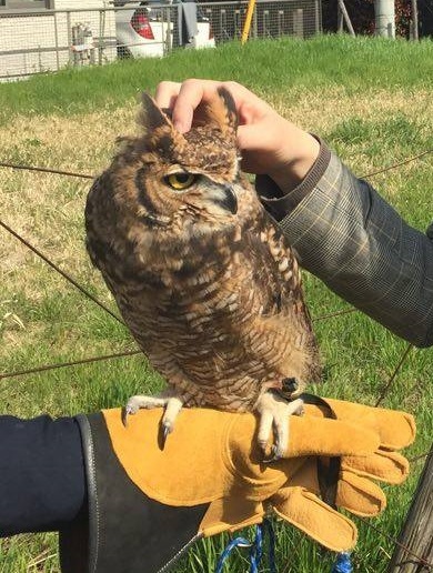 Img_fcb15333210b4cb4a61bb7bdc085afb6